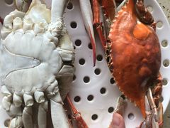 -港畔赶海蒸汽海鲜烧烤自助(仙螺岛店)