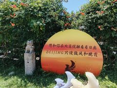 -悦融·京鲁菜·露台花园(安定门店)