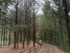 -嵖岈山风景区