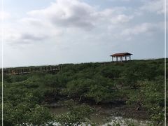 -北海金海湾红树林生态旅游区