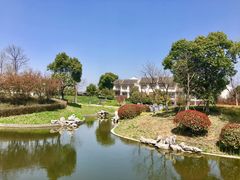 -无锡梁鸿湿地丽笙度假酒店·流觞西餐厅