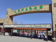 -北京野生动物园