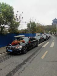 -蚂蚁婚车