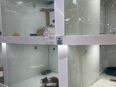 -1013 PET SHOP精品宠物商店(丁香店)