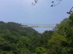 -牛鱼嘴原始生态风景区