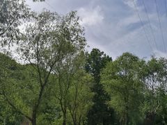 -云岫谷自然风景区