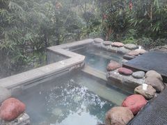 -花水湾第一村温泉大酒店