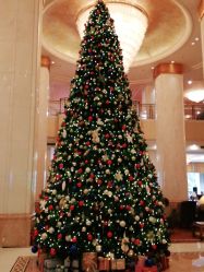 -上海虹桥锦江大酒店·宴会厅