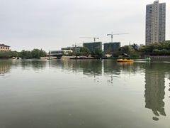 -青枫公园