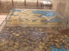 -新丁香海鲜酒店(银海商贸城店)