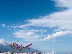 -唐咖精品咖啡(大理古城手冲店)