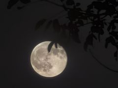 -汉长安城未央宫国家考古遗址公园