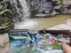-燕塞湖鸟语林景区