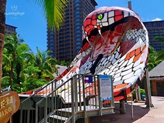 -亚马逊丛林水乐园