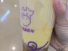 -一只酸奶牛(来福士店)
