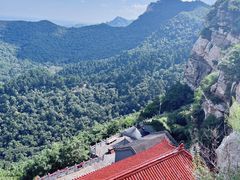 -大芦花风景区