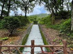 -广州市石门国家森林公园