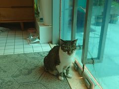 -ID.PHOTO照相馆(嘉里企业中心店)