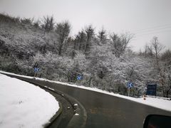 -秦岭风景区