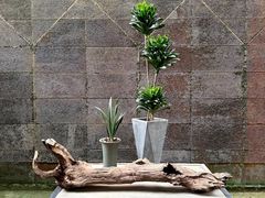 -泓0871臻选云南菜·味庄