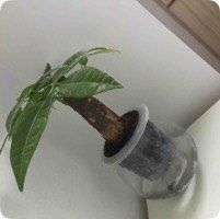 -新世纪超市(回龙路店)