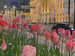 -千米手机电脑维修回收(松江泗泾店)