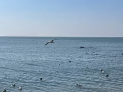 -银沙滩浴场