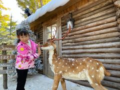 -HERRE·FARM 赫尔露营农场·团建聚会包场