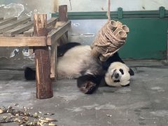 -无锡动物园·太湖欢乐园