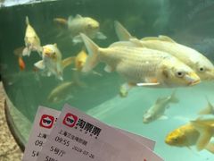 -中影国际影城(兰生大厦CINITY LED店)