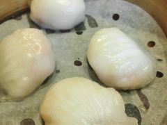 虾饺-添好运点心专门店(深水埗店)