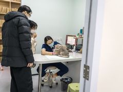 -爱侣·安琦尔宠物医院·中兽医针灸·心内科·狂犬免疫点(宝山区院)