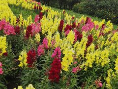 -长春公园(普阳街道)