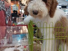 -万达广场(沈阳铁西店)