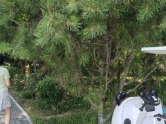 -洛阳市隋唐城遗址植物园