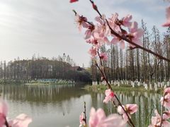 -艾溪湖湿地公园