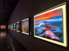 -罗红摄影艺术馆