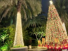 -广州富力丽思卡尔顿酒店