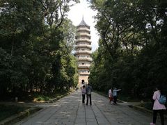 -灵谷景区