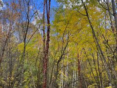 -叠溪松坪沟景区