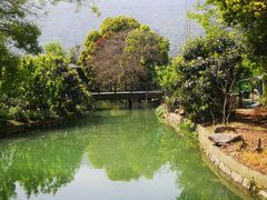 -树山生态村