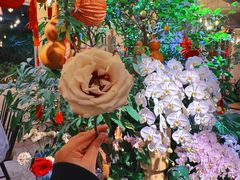 -花二家·生活馆(六运小区店)