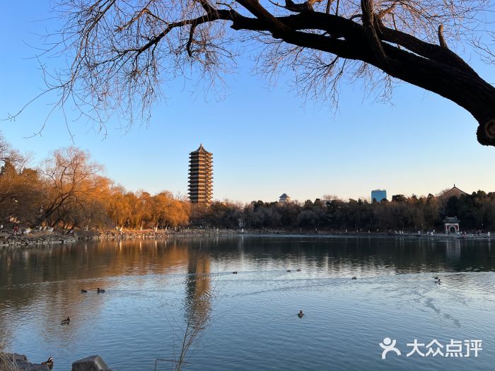 博雅塔图片