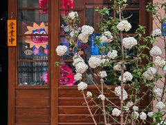 -鹤汀居酒屋•家庭料理•烧鸟酒肆(新街口店)