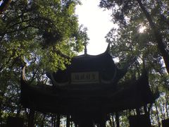 -峨眉山报国寺
