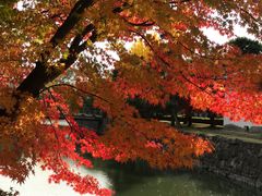 -有栖山 清光院 清水寺
