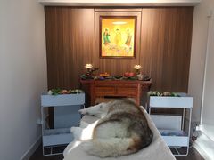 -翡翠森林宠物火化殡葬(通州店)
