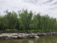 -莲花池公园