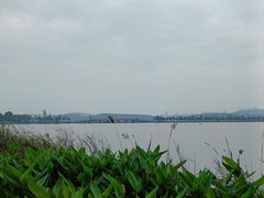 -东湖落雁景区