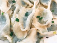 韭菜鸡蛋饺子-东北饺子馆(郭南小区店)